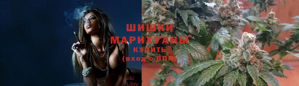 гидра Наволоки