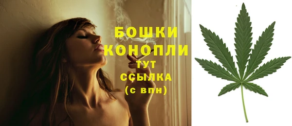 гидра Наволоки