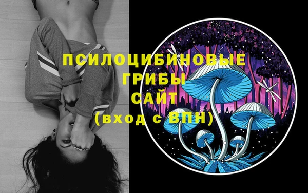 гидра Наволоки