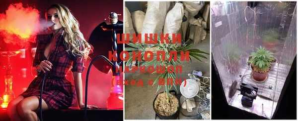 ГАЛЛЮЦИНОГЕННЫЕ ГРИБЫ Надым