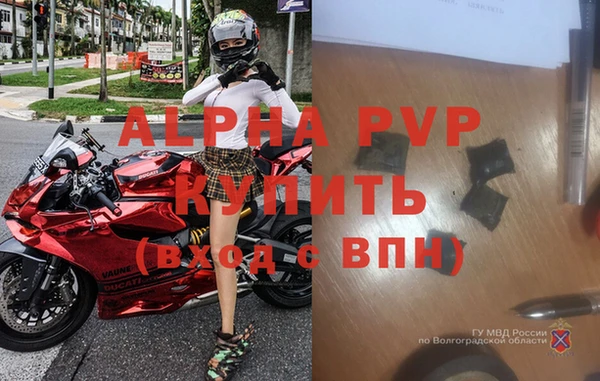 ГАЛЛЮЦИНОГЕННЫЕ ГРИБЫ Надым